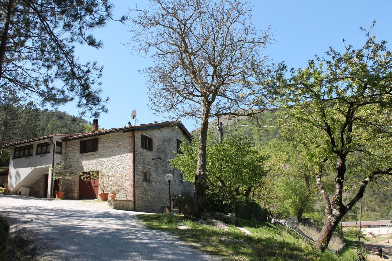 B&B Paradiso Gubbio Exterior photo