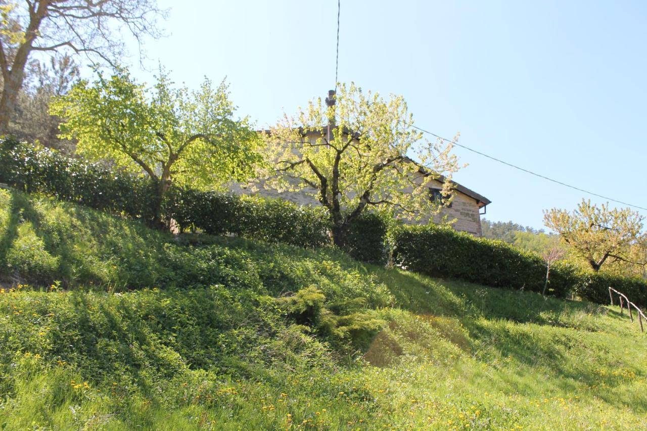 B&B Paradiso Gubbio Exterior photo